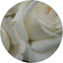 Elena Cirillo profile picture