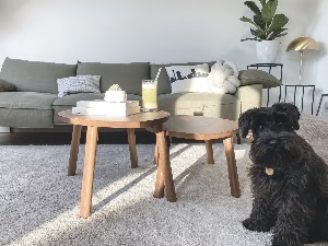 Priority Deep Cleaning Inc. place picture